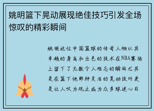 姚明篮下晃动展现绝佳技巧引发全场惊叹的精彩瞬间